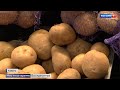 Картофельная инфляция: перекупщики в два раза подняли цену на новый урожай в Татарстане