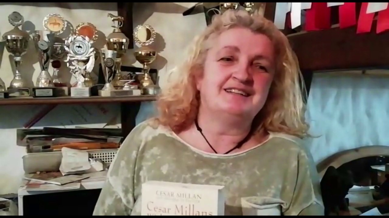 Meine Meinung zu Cesar Millan | Stubenreinheit Pferdeprofis | Border Collie Hund Hundeschule