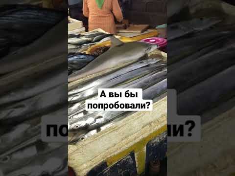 Можно ли есть мясо акулы?