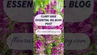 CLARY SAGE ESSENTIAL OIL BLOG POST! #clarysageessentialoil #fleuraromatherapy #liveyourlife