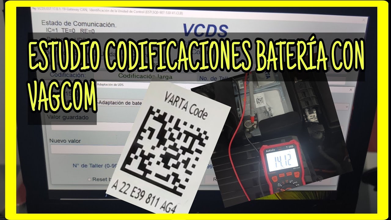 ESTUDIO SOBRE CODIFICACIÓN DE LA BATERÍA CON VAGCOM