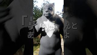 この顔、誰のせいか知ってる? #ブルドッグ #短頭種 #動物倫理 #ue5