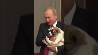 President Turkmen Give To V V Putin Alabay