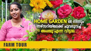 Home Garden ൽ നിന്നും നഴ്‌സറിയിലേക്ക് ചുവടുവച്ച് അഞ്ചു എന്ന വീട്ടമ്മ.. Anju‘s Garden | Perunadu