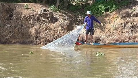 Anh chị chài cá , dính cá chốt cá lăng , cá khủng