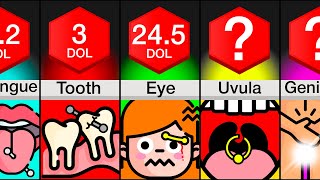 Comparison: Most Painful Places To Get A Piercing