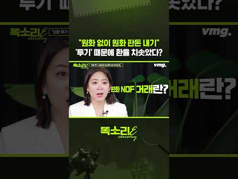 "원화 없이 원화 판돈 내기" '<strong>투기</strong>' 때문에 환율 치솟았다? / 똑소리E / 비디오머그 #shorts