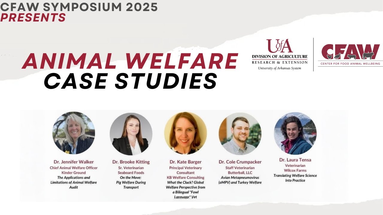 CFAW 2025 | Animal Welfare Case Studies