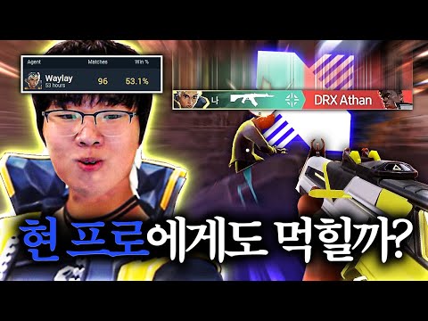 현 프로 상대로 시작된 "웨이레이 피지컬 쇼", 대회 모드로 개 빡겜 해봤습니다ㅋㅋㅋㅋ