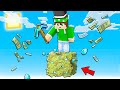 HO FINITO MINECRAFT SOPRA UN BLOCCO DI SOLDI!
