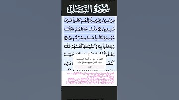 سورة النمل الآية 13 #قرآن #تلاوات #سورة