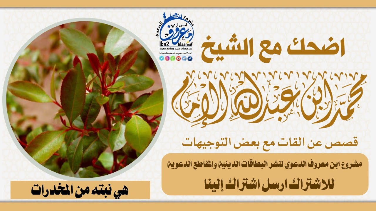 اضحك مع الشيخ محمد بن عبدالله الإمام قصص عن القات (عجائب) مع بعض التوجيهات(مشروع ابن معروف الدعوي)