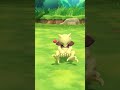Shiny Abra Pokémon Let's Go Pikachu   408 Catch Combo. #pokemon #pokemonletsgopikachu #shinypokemon