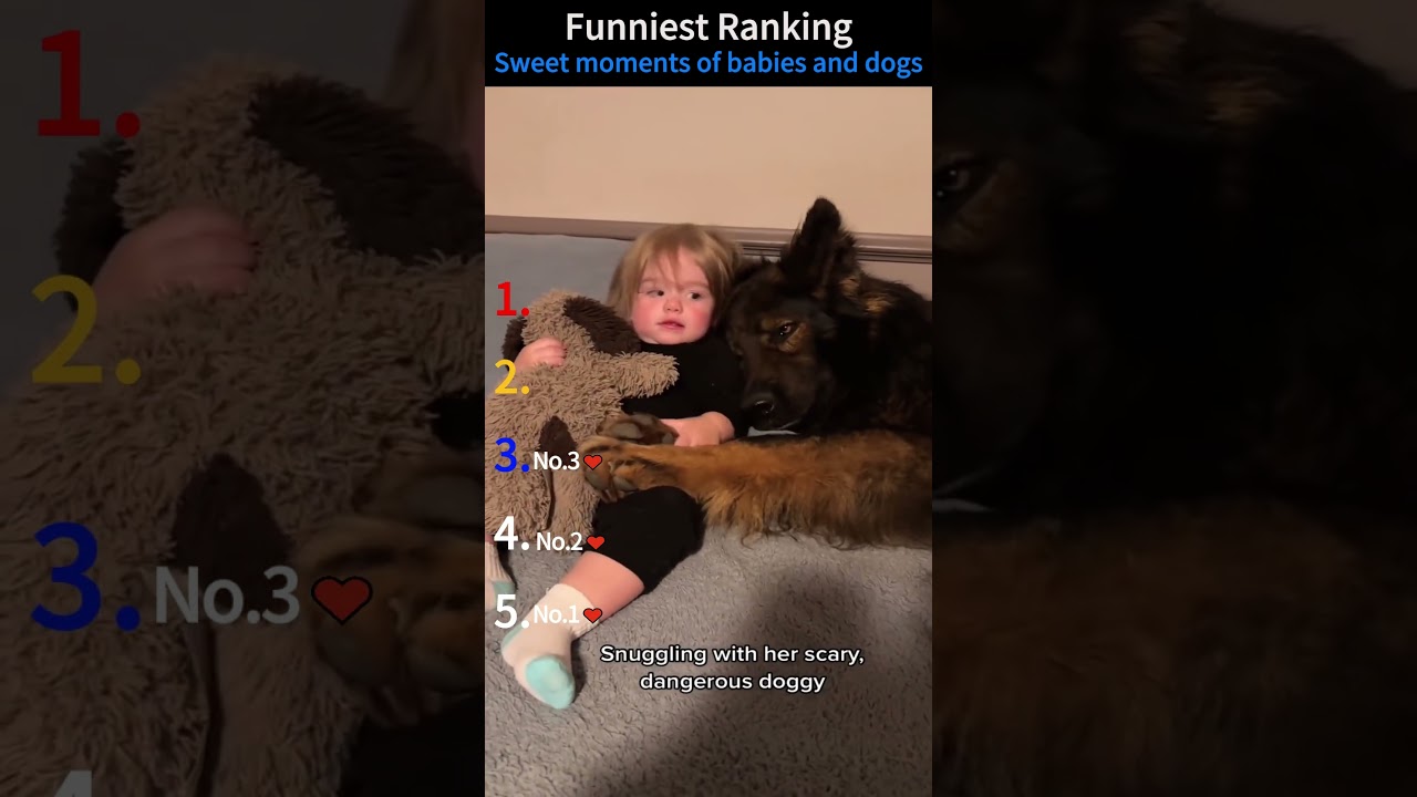 Which video do you think is the funniest? #funny