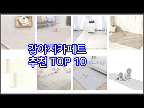 강아지카페트 추천 구매자들이 선택한 품질 좋은 상품 10가지