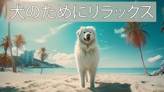 花火大会や雷雨の時に犬を落ち着かせる、犬のための 2 時間のリラクゼーション音楽! by 犬のリラックスタイム 37 views 11 months ago 2 hours, 3 minutes