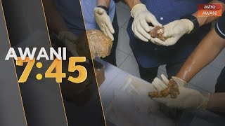 Download Lagu Rangka manusia di Gua Niah akan dibawa pulang dari AS MP3