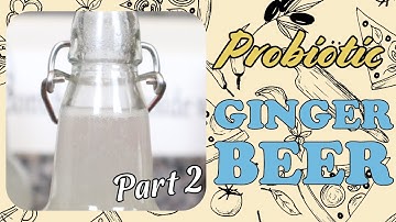 Homemade Ginger Beer - Part 2
