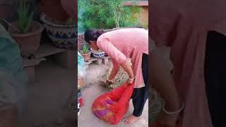 Terrace Garden Cleaning Part 2