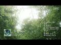 あたらよ - Album『私雨に夏の灯を知る』クロスフェード