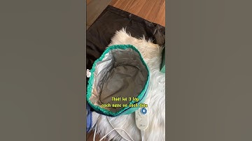 Dưỡng tóc như salon đã dễ ràng khi mình sử được tại nhà với mũ ủ tóc QH Lactus này mấy bà #qhlactus