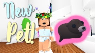 I BOUGHT ANOTHER PET IN ADOPT ME! | Roblox