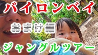 バイロンベイのジャングルツアー【おまけ編】