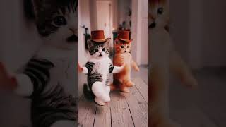 Dancing cat the master of chef  dog🤣 /crazy doggy Rider 😂 #funny #short #shortvideo #usa