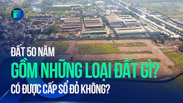 Đất 50 năm có được xây nhà, cấp sổ đỏ không? | VTC1