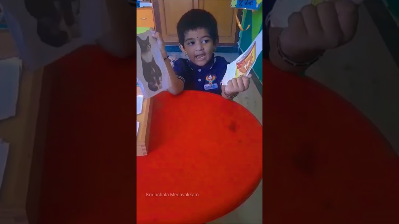 Pet Food Match | Fun Learning Activity for Preschoolers | Marsh Kids Medavakkam playschool Nursery