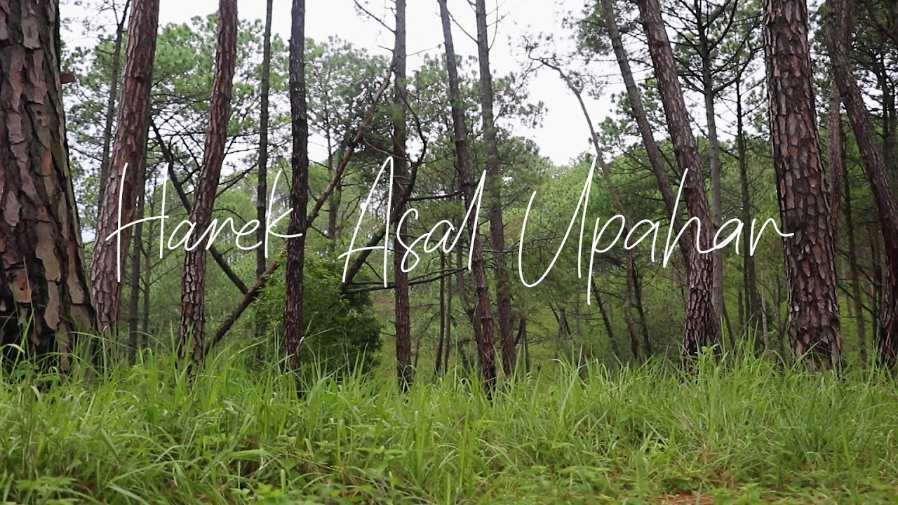 Harek Asal Upahar // Official Lyric Video