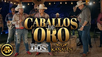 Kanales, Los Dos de Tamaulipas - Caballos de Oro (Video Musical)