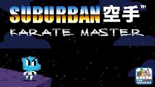 The Amazing World of Gumball: Suburban Karate Master (Cartoon Network Games) screenshot 1