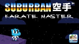 The Amazing World of Gumball: Suburban Karate Master (Cartoon Network Games)