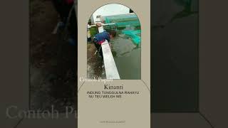 Lirik Pupuh Kinanti#Shorts