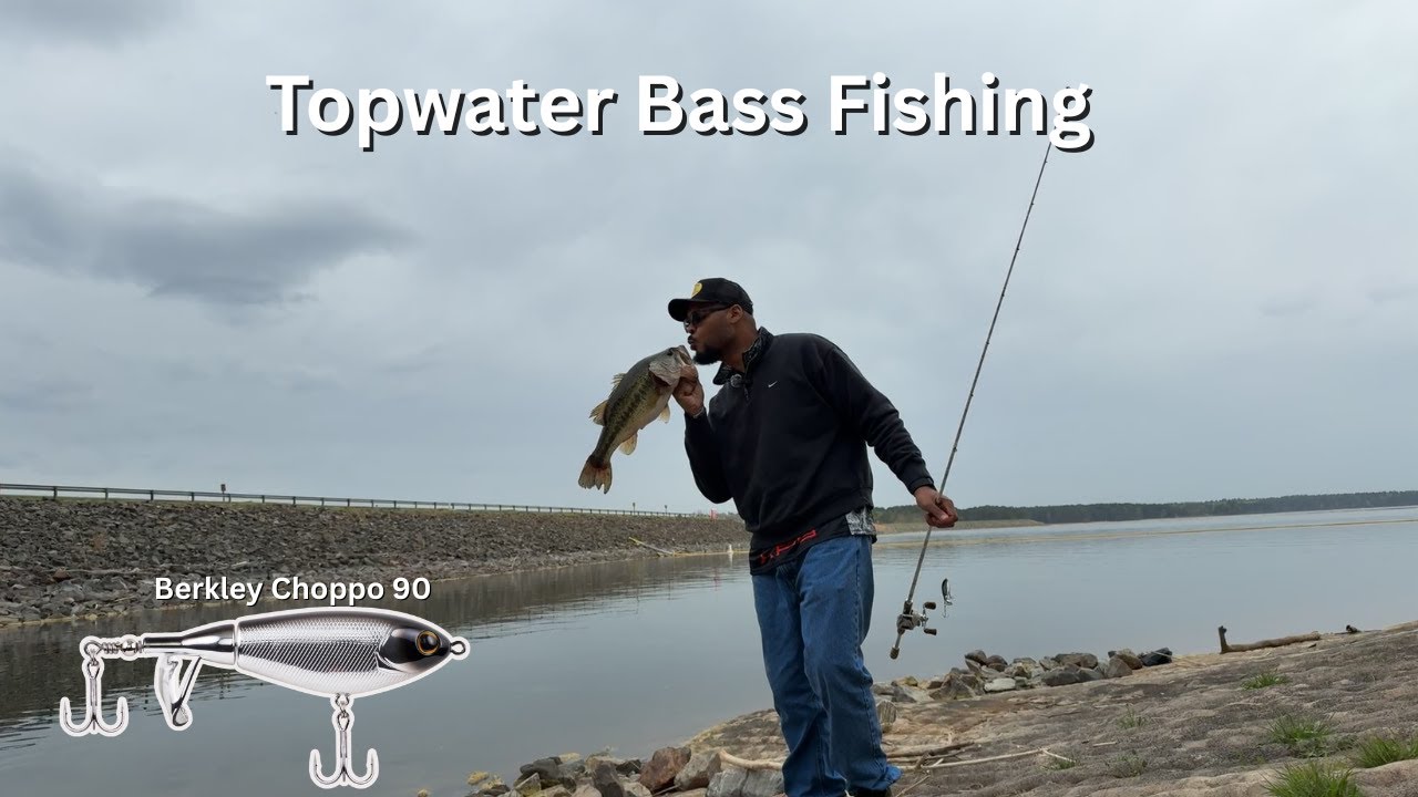 Topwater Bass Fishing with Berkley Choppo 90 Black Chrome