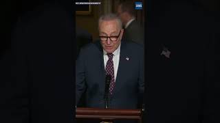 'TRUMP'S CORRUPTION KNOWS NO END': SCHUMER UNLEASHES #shorts #newslineamerica