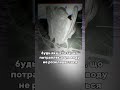 Озеро від якого холоне КРОВ😱☠️ | Таємниця Натрон 🔥🌊 #facts #secrets #top #science #shorts #наука
