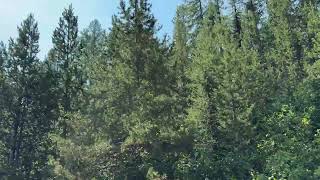 Thompson Falls MT