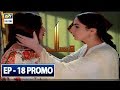 Watch Visaal Episode 18 (Promo) - ARY Digital Drama Online In Hd