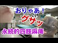 【多数の医療事故・伝説のやぶ医者】脳外科医T君 #猫ミーム