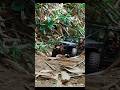 CRAWLING THE JUNGLE! WILL IT SURVIVE? 🌴😱#jeep #adventure #shorts #survive #scale #rccar