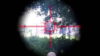 Ghost Flanker MFG Modded Automag - "When Titans Clash"