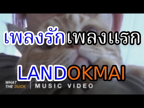 [KARAOKE] เพลงรักเพลงแรก (Blooming) - LANDOKMAI