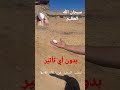 الكشف أو البحث عن المياه الجوفية بإستخدام أو استعمال البيضة