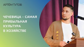 Чечевица - самая прибыльная культура в хозяйстве |  Артём Тутов, ООО «Агро»