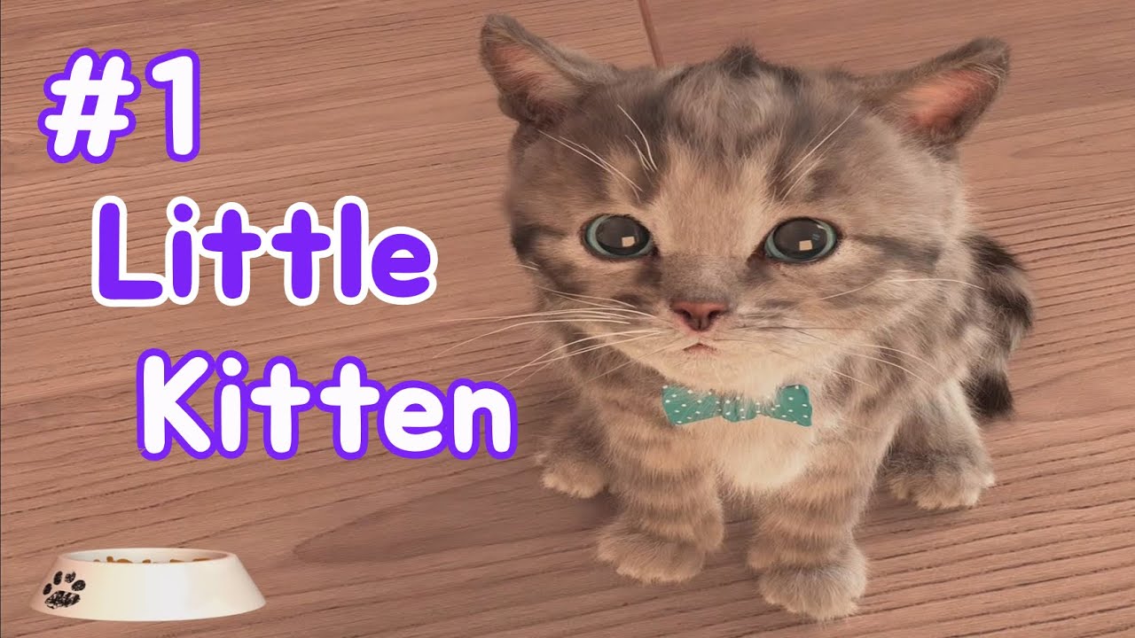 fox and sheep little kitten android