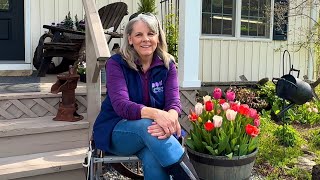 Stunted Tulips 🌷Talking Tulips 🌷Making a Cute Tulip Bouquet 🌷