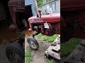 #rurallife#nature#homestead#agriculture#agro#farming#farmer#farm#garden#God#dailyshorts#daily#diy