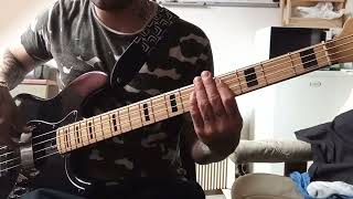 Red Hot Chili Peppers - Slow Cheetah Bass Cover
